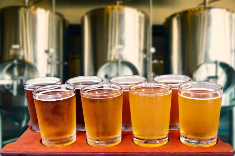 Poznan: Private Polish Beer Tasting Tour - Who should book the beer tour?