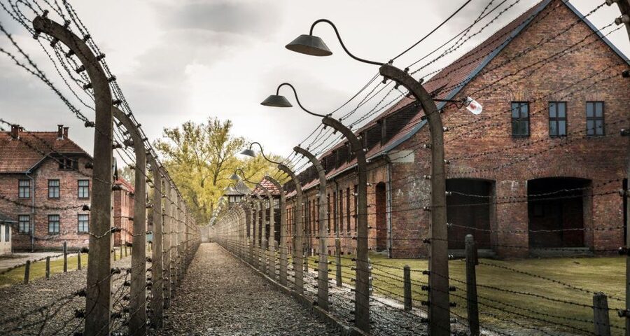 Prague: Tour to Auschwitz Birkenau - The return to Prague and hotel drop-off