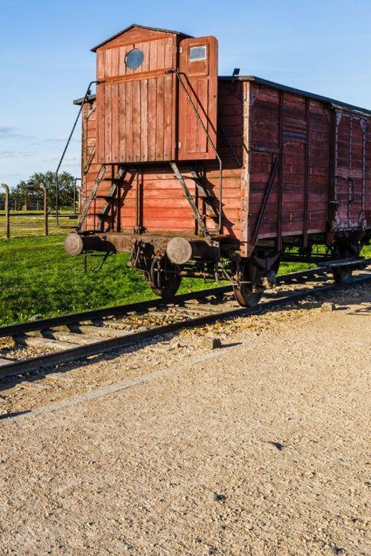 Prague: Tour to Auschwitz Birkenau - Who should book this Auschwitz day trip?