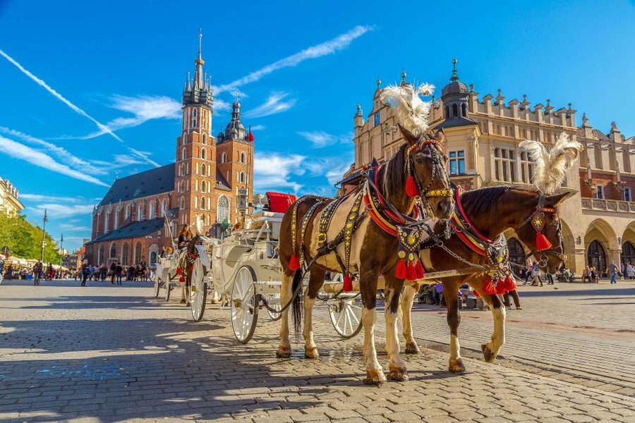 Private Krakow Tour: St. Mary’s, Cloth Hall & More - Who should book this Krakow tour?