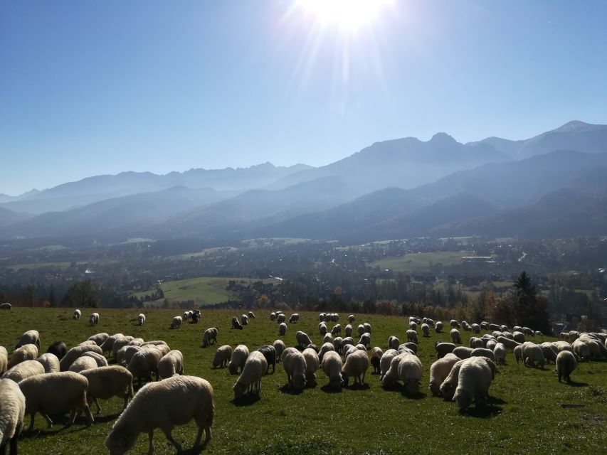 Rafting on Dunajec & Zakopane Tour – Day Trip from Krakow - From Krakow to the Pieniny Mountains