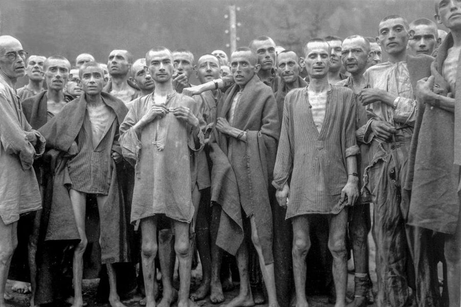 Stutthof Concentration Camp:Guided Tour with Transportation - The museum cinema and survivor testimony