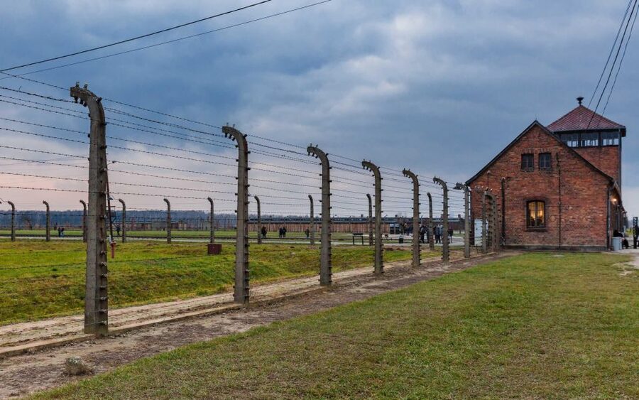 Warsaw to Auschwitz and Krakow Old Town Full-Day Trip by Car - What the private car and shared group really mean