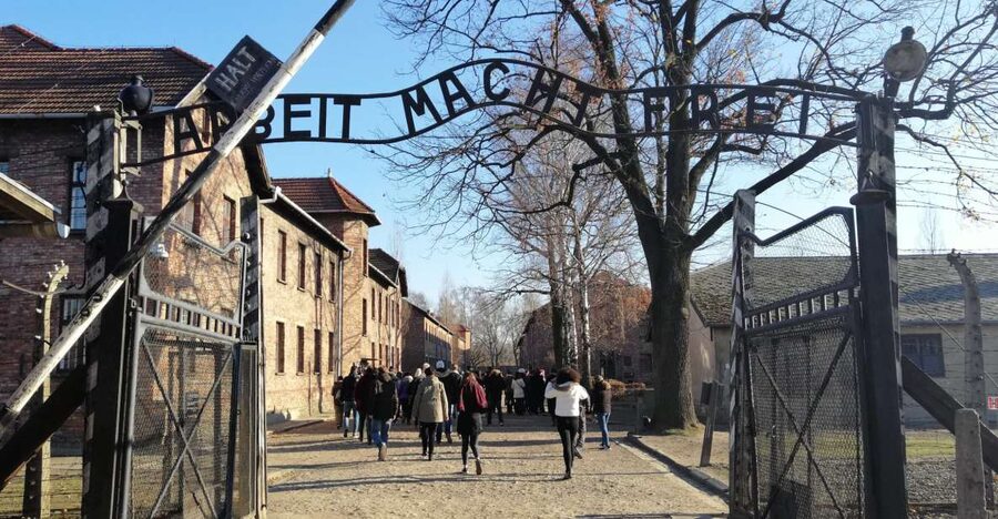 Warsaw: Tour to Krakow and Auschwitz by Train with Pickup - What makes the price worthwhile