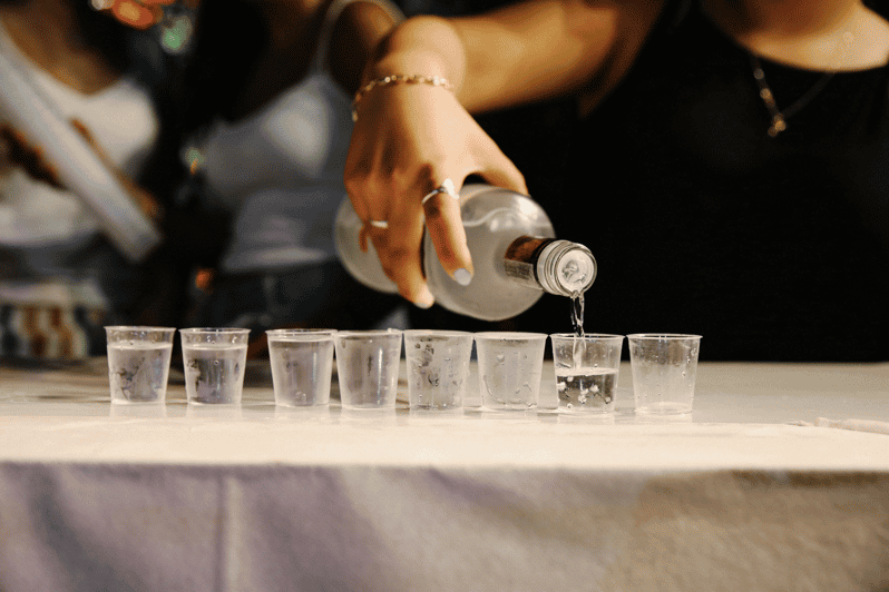 Warsaw: Vodka Tour - Tasting several styles instead of one standard pour