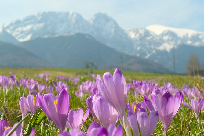 Zakopane and Tatras Mountains Day Tour from Krakow - Zakopane’s wooden style and highlander culture